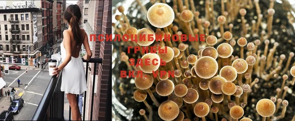 дурь Новозыбков