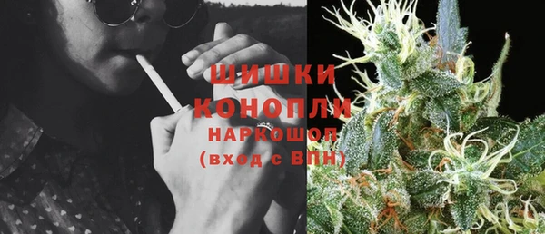 шишки Нефтегорск
