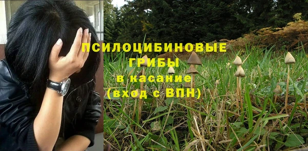 шишки Нефтегорск
