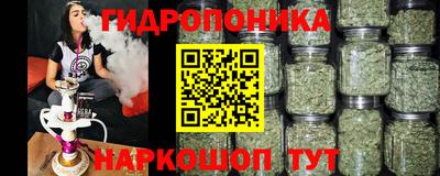 кокс Донецк