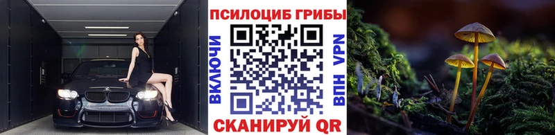 даркнет сайт  МЕГА ССЫЛКА  Псилоцибиновые грибы GOLDEN TEACHER  Нарткала 