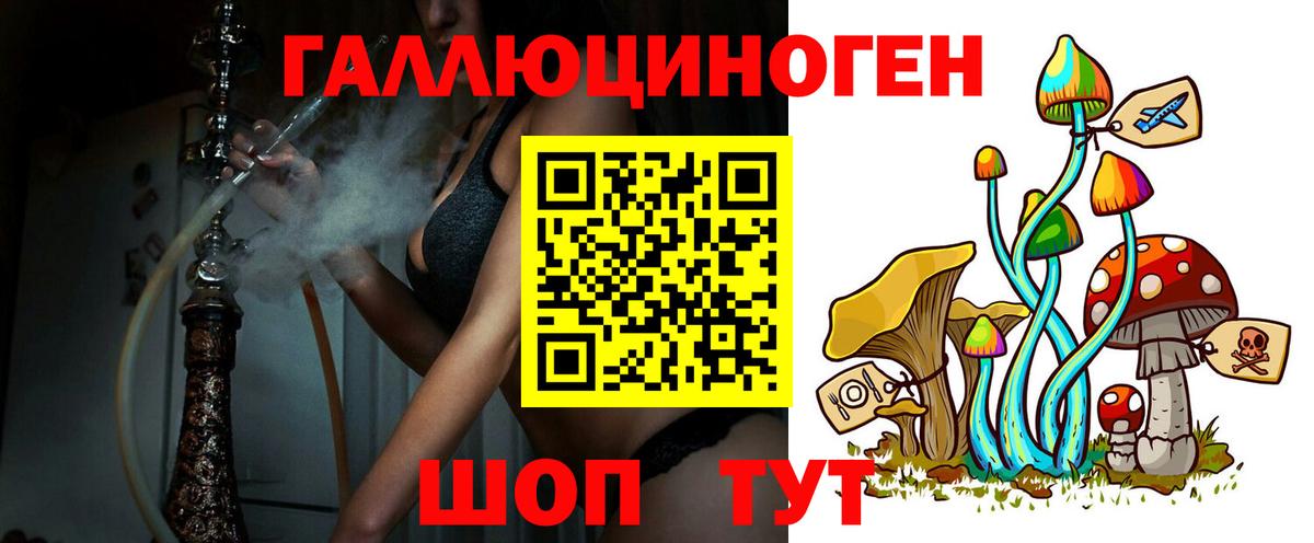 Псилоцибиновые грибы Psilocybe  Вход с VPN  Нарткала 