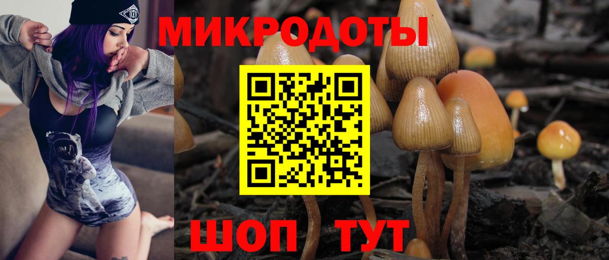 где можно купить   Нарткала  Псилоцибиновые грибы Psilocybine cubensis  Галлюциногенные грибы прущие грибы 