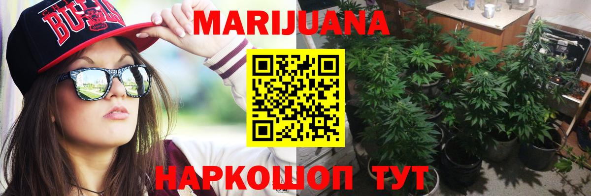 Бошки Шишки семена Нарткала